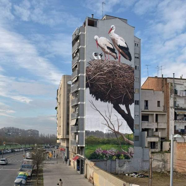 Acid Picdump 1 (89 pics)