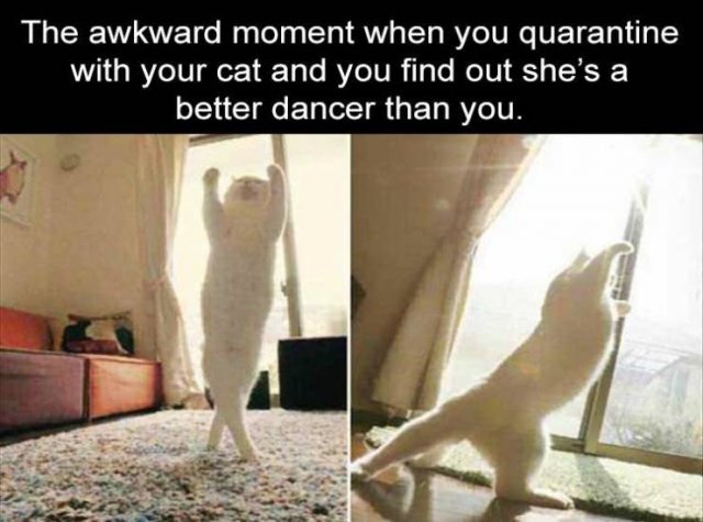 Random Funny Memes (122 pics)