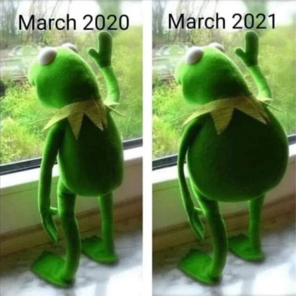 Random Funny Memes (122 pics)