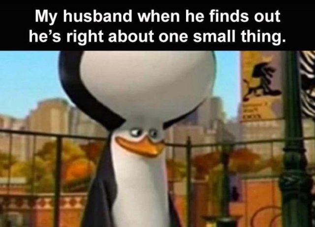 Random Funny Memes (122 pics)