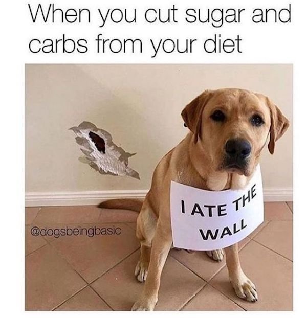 Diet Memes (36 pics)