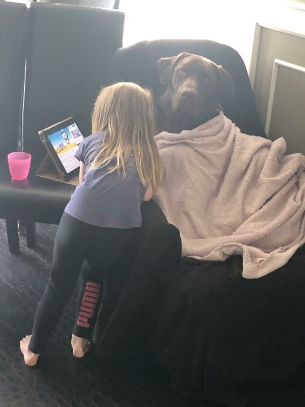 Kids With Kind Hearts (29 pics)