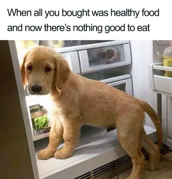 Diet Memes (36 pics)