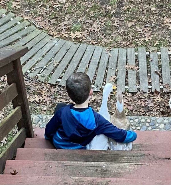 Kids With Kind Hearts (29 pics)