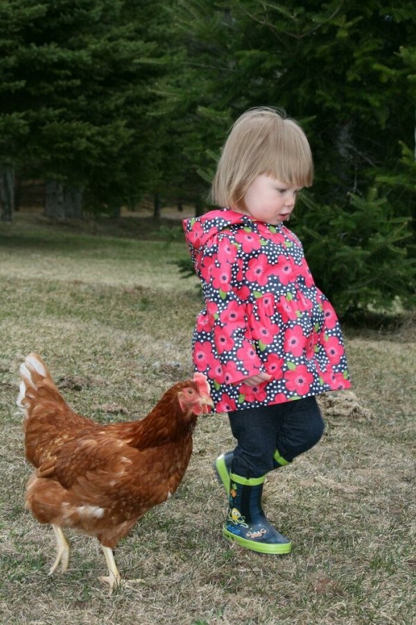 Kids With Kind Hearts (29 pics)