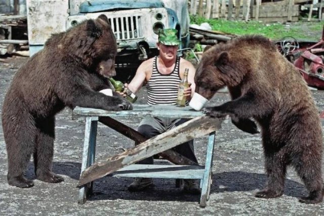 Acid Picdump 1 (89 pics)