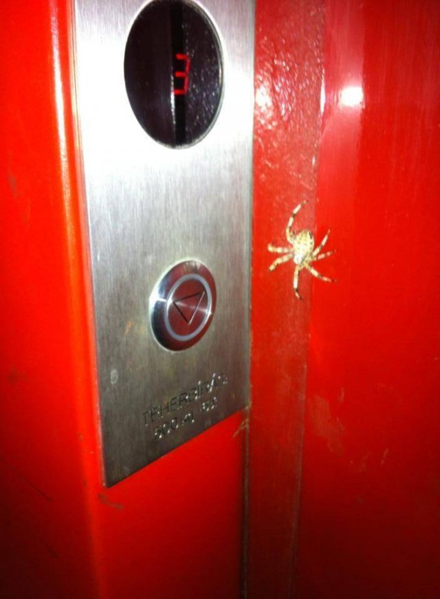 Acid Picdump 1 (89 pics)