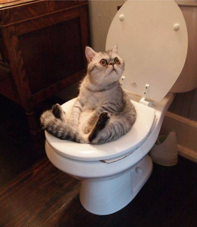 Acid Picdump 1 (89 pics)