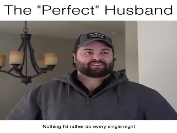 The Perfect Husband
