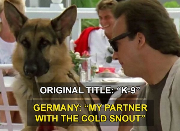 Movies With Different Titles In Other Countries (30 pics)