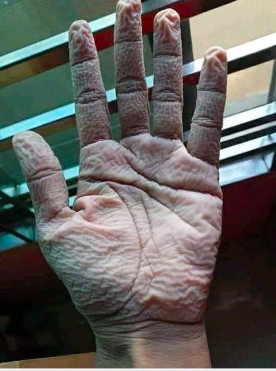People Show Reality Of Their Jobs (25 pics)