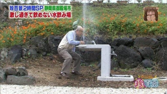 Acid Picdump 1 (51 pics)