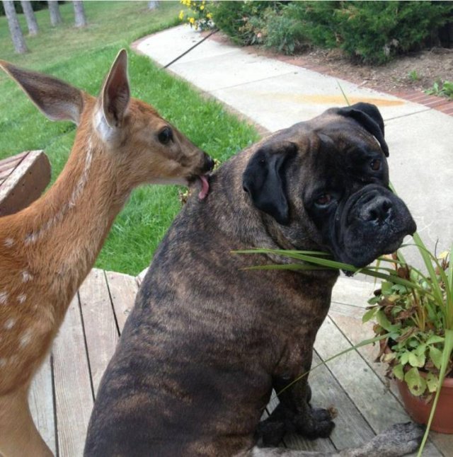 Acid Picdump 1 (51 pics)