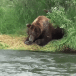 Acid Gifdump, March 30 (25 gifs)