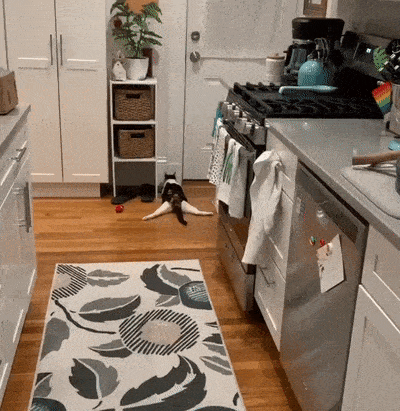 Acid Gifdump, March 30 (25 gifs)