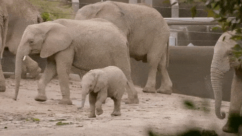 Acid Gifdump, March 30 (25 gifs)