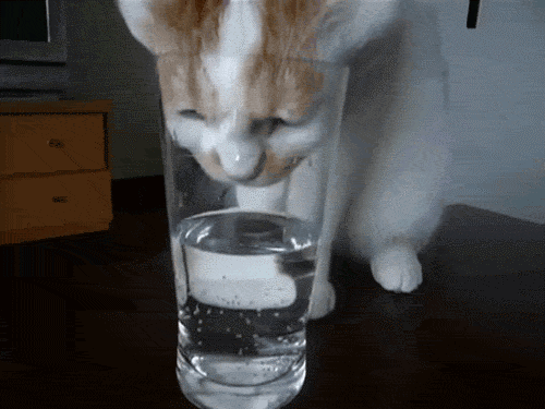 Acid Gifdump, March 30 (25 gifs)