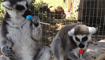 Acid Gifdump, March 30 (25 gifs)