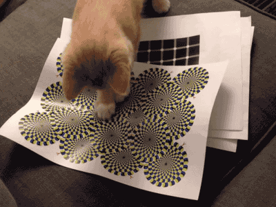 Acid Gifdump, March 30 (25 gifs)