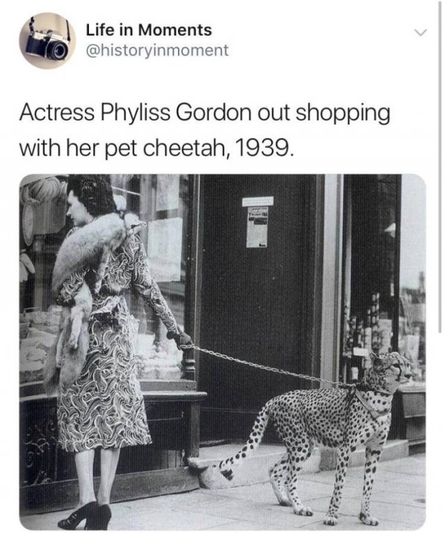 Historical Photos (34 pics)