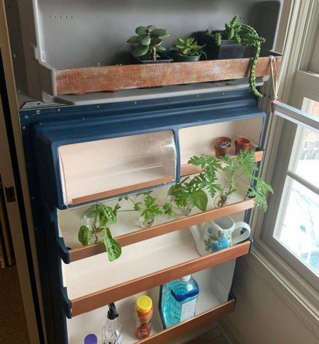 Old Things Get A New Life (20 pics)