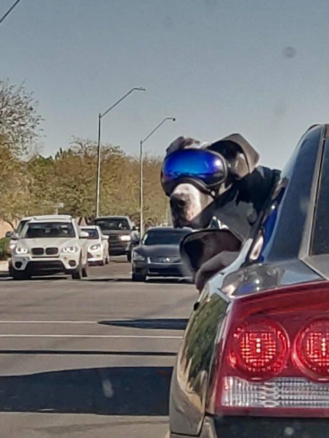 Acid Picdump 2 (79 pics)