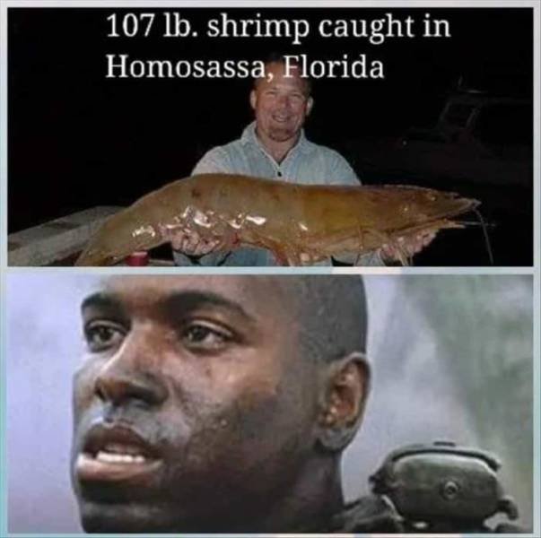Random Funny Memes (65 pics)