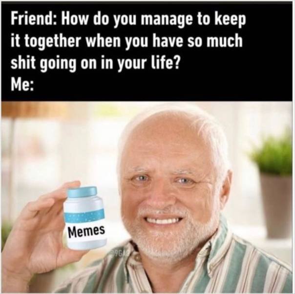 Random Funny Memes (65 pics)