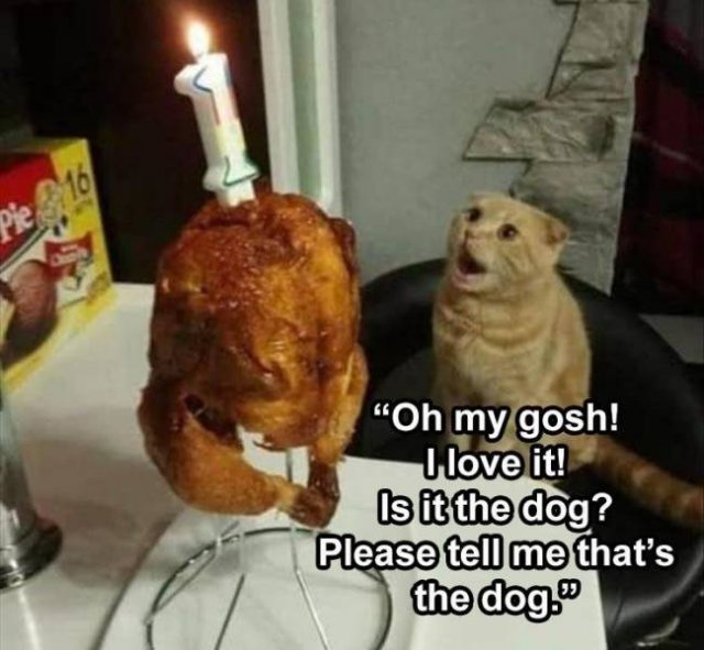 Random Funny Memes (65 pics)