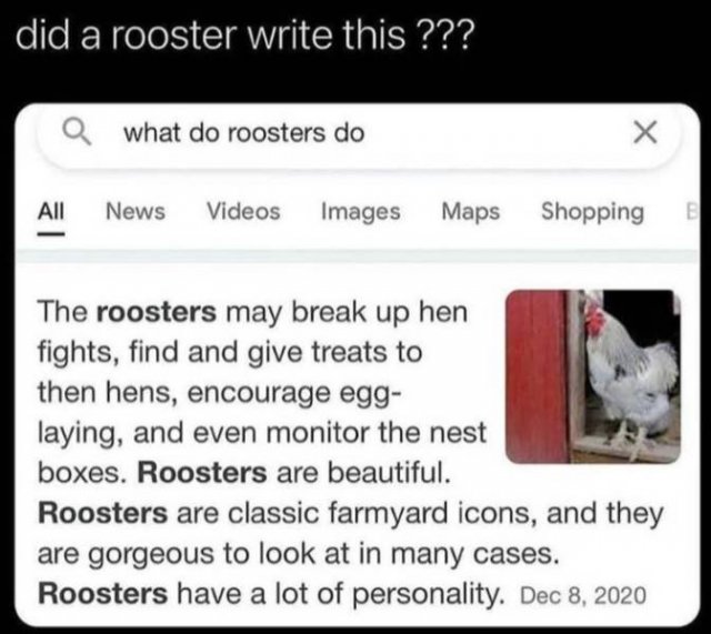 Random Funny Memes (65 pics)