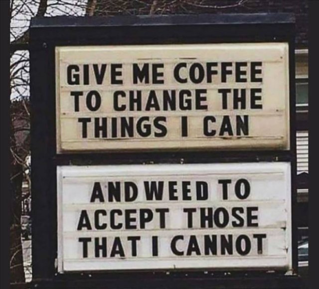 Random Funny Memes (65 pics)