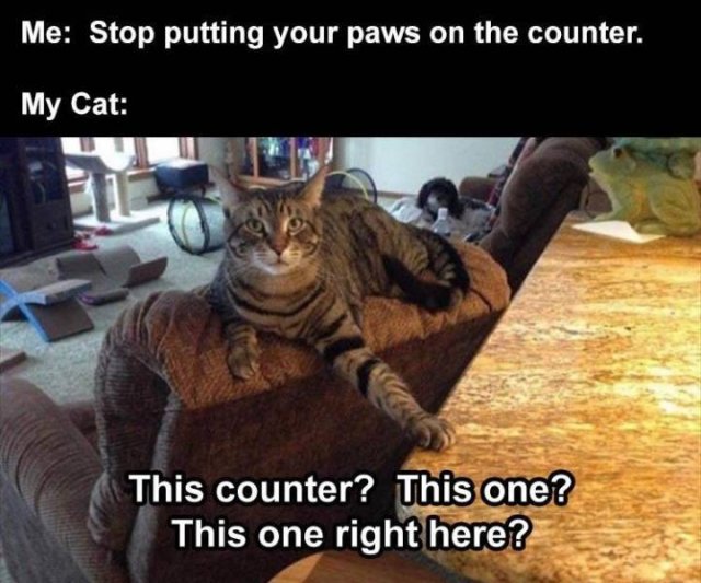 Random Funny Memes (65 pics)