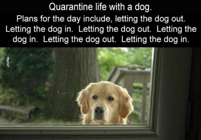 Random Funny Memes (65 pics)