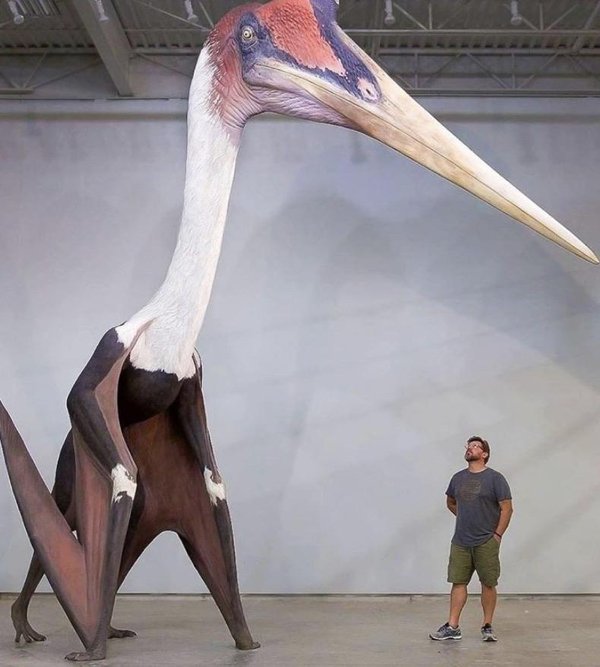 Comparison Matters (28 pics) Comparison Matters (28 pics)