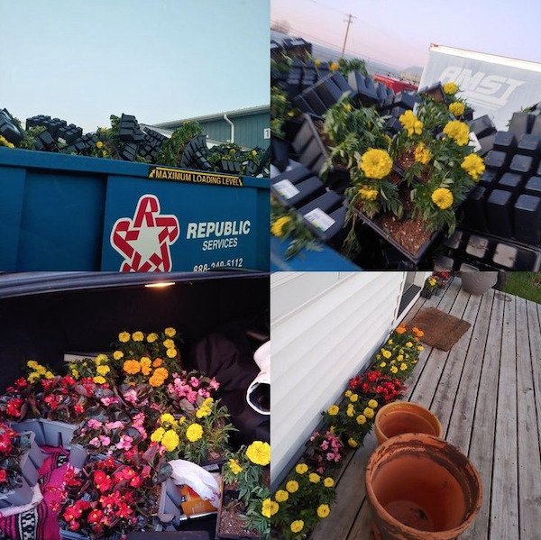 Some People Throw These Treasures Away (26 pics)