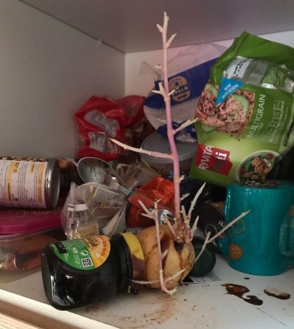 People Who Deserve Punishment (22 pics) People Who Deserve Punishment (22 pics)