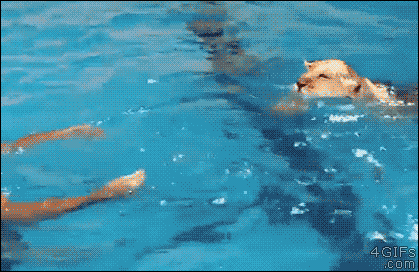 Acid Gifdump, March 31 (25 gifs)