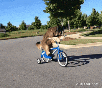 Acid Gifdump, March 31 (25 gifs)