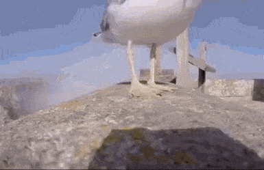 Acid Gifdump, March 31 (25 gifs)