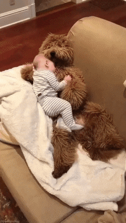 Acid Gifdump, March 31 (25 gifs)
