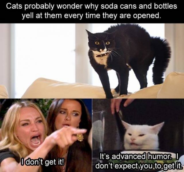 Random Funny Memes (68 pics)