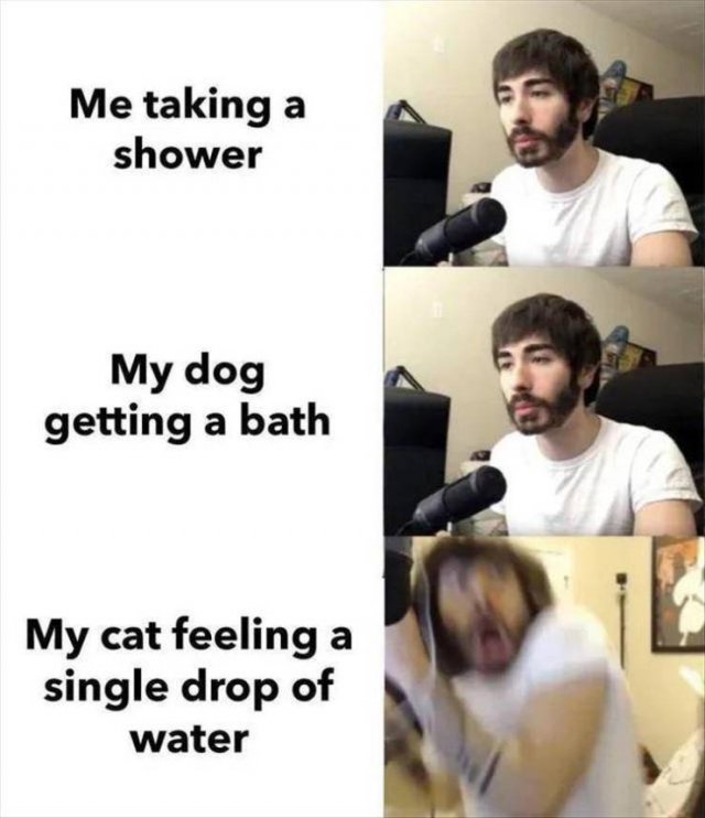 Random Funny Memes (68 pics)