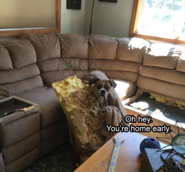 Random Funny Memes (68 pics)
