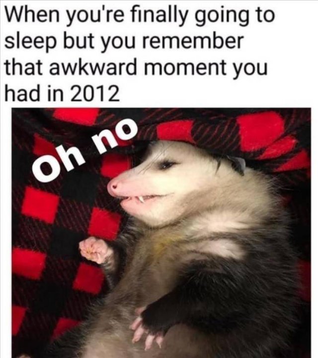 Random Funny Memes (68 pics)