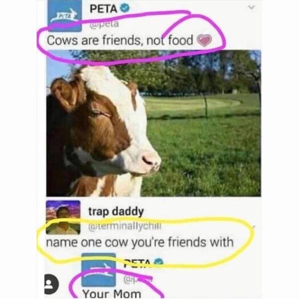 Random Funny Memes (68 pics)