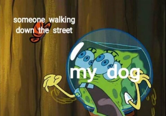 Random Funny Memes (68 pics)