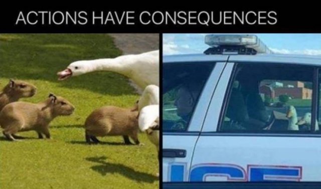 Random Funny Memes (68 pics)