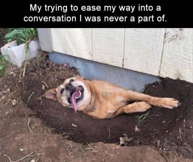Random Funny Memes (68 pics)