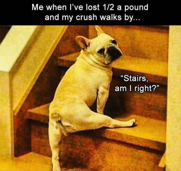 Random Funny Memes (68 pics)