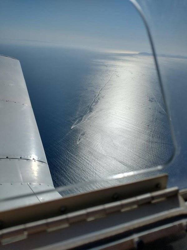 What Are These Things For? (22 pics)